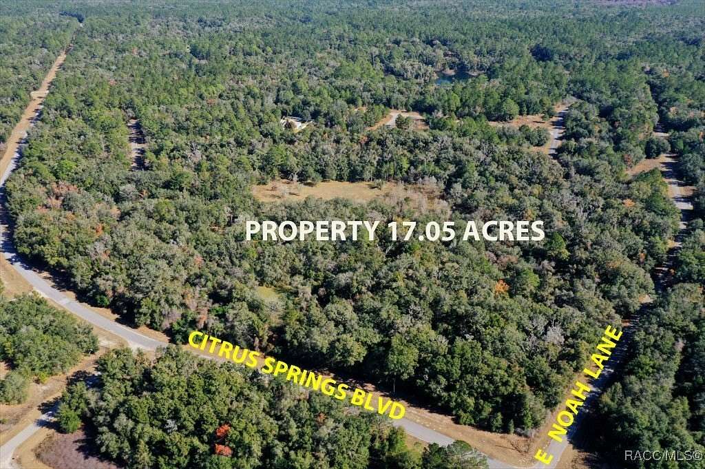 17.05 Acres of Agricultural Land for Sale in Dunnellon, Florida