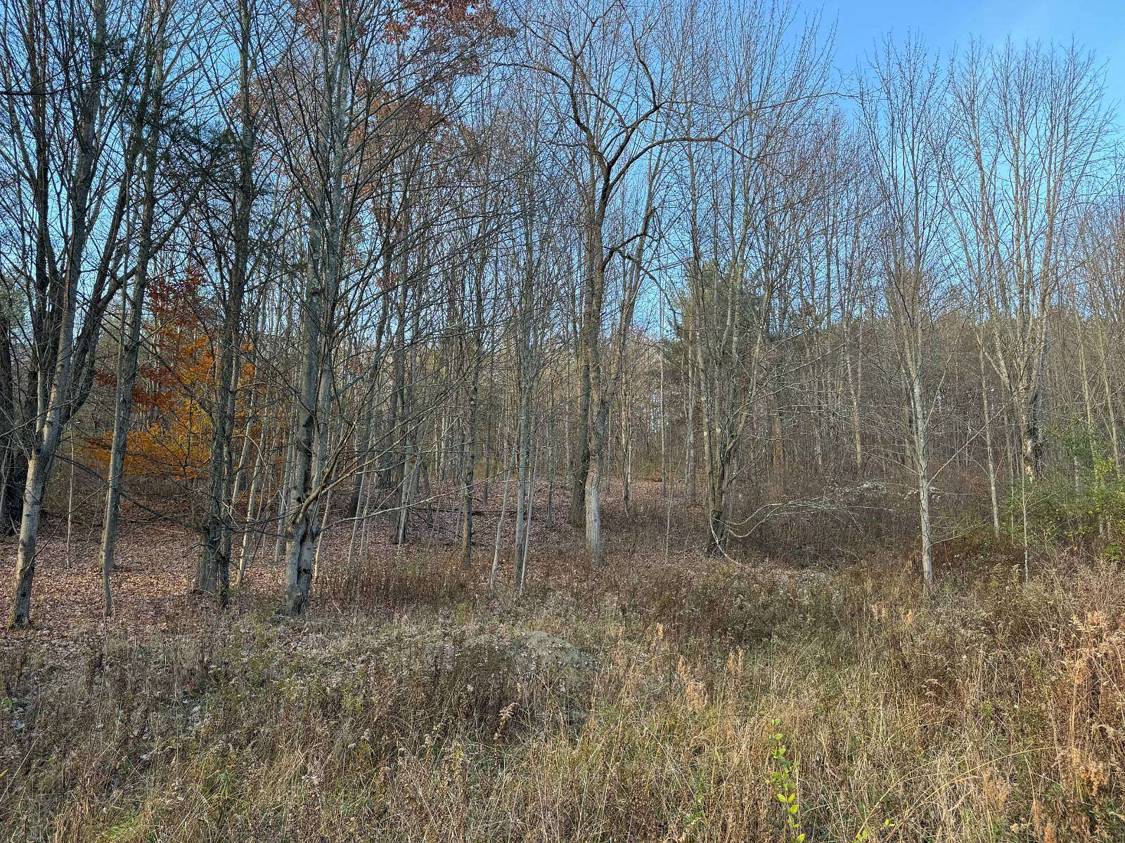 5.43 Acres of Residential Land for Sale in Erin, New York