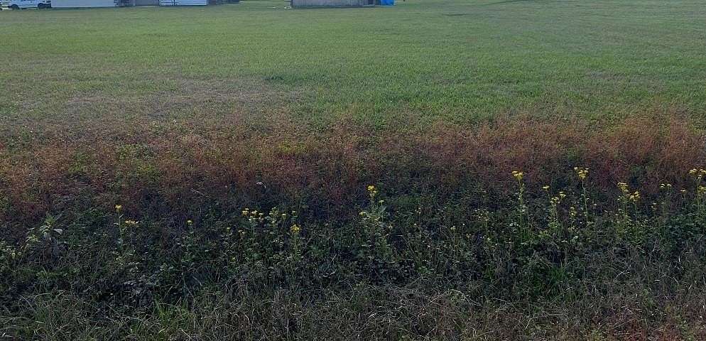 0.22 Acres of Land for Sale in Plattenville, Louisiana