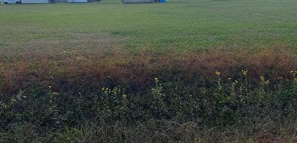 0.22 Acres of Land for Sale in Plattenville, Louisiana