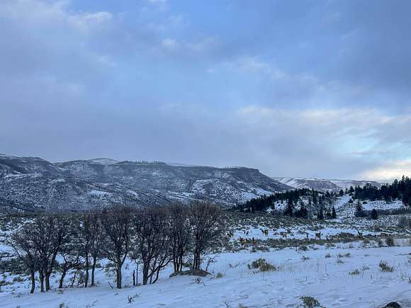 39.1 Acres of Recreational Land for Sale in Gunnison, Colorado