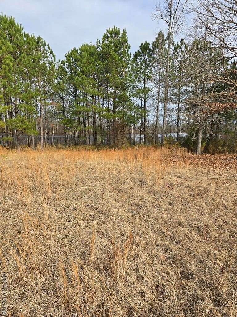 0.166 Acres of Residential Land for Sale in Roanoke Rapids, North Carolina