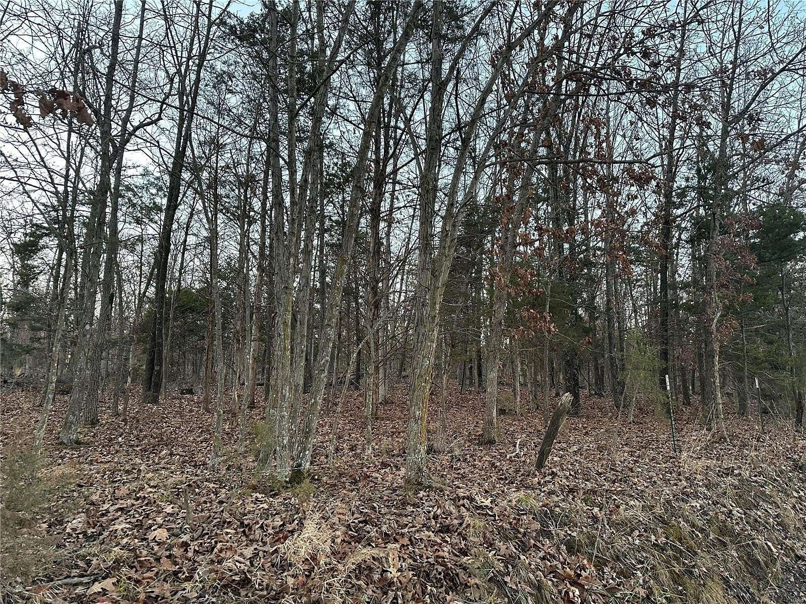 10 Acres of Residential Land for Sale in Bland, Missouri