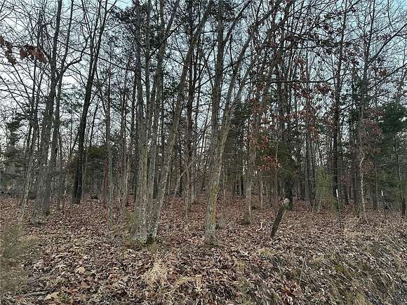 10 Acres of Residential Land for Sale in Bland, Missouri