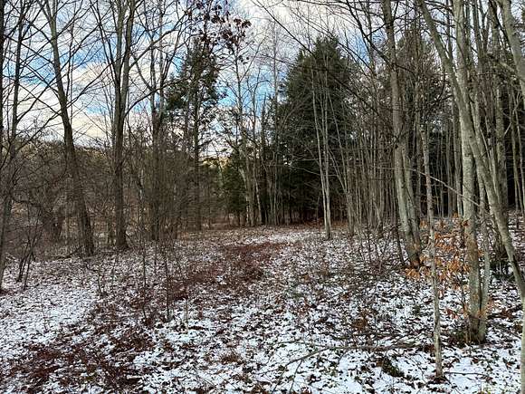 11.56 Acres of Recreational Land for Sale in Erin, New York