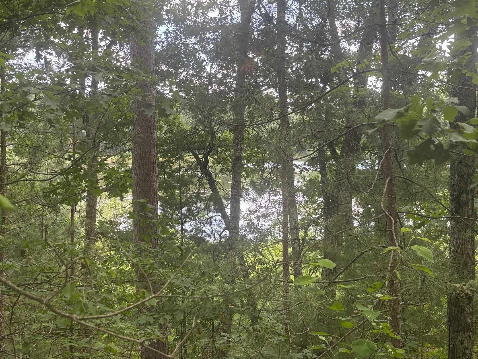 4.55 Acres of Residential Land for Sale in Amberg, Wisconsin