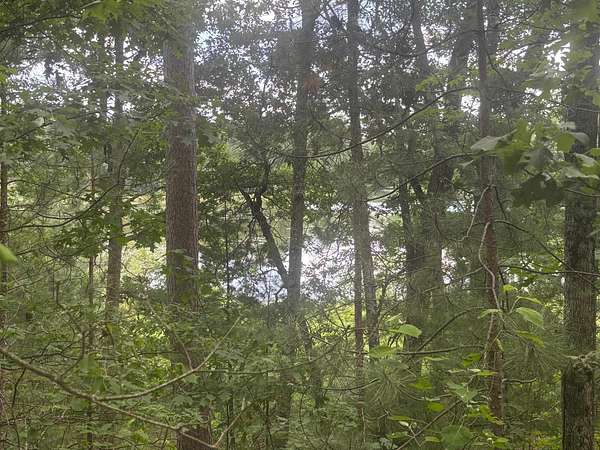 4.55 Acres of Residential Land for Sale in Amberg, Wisconsin