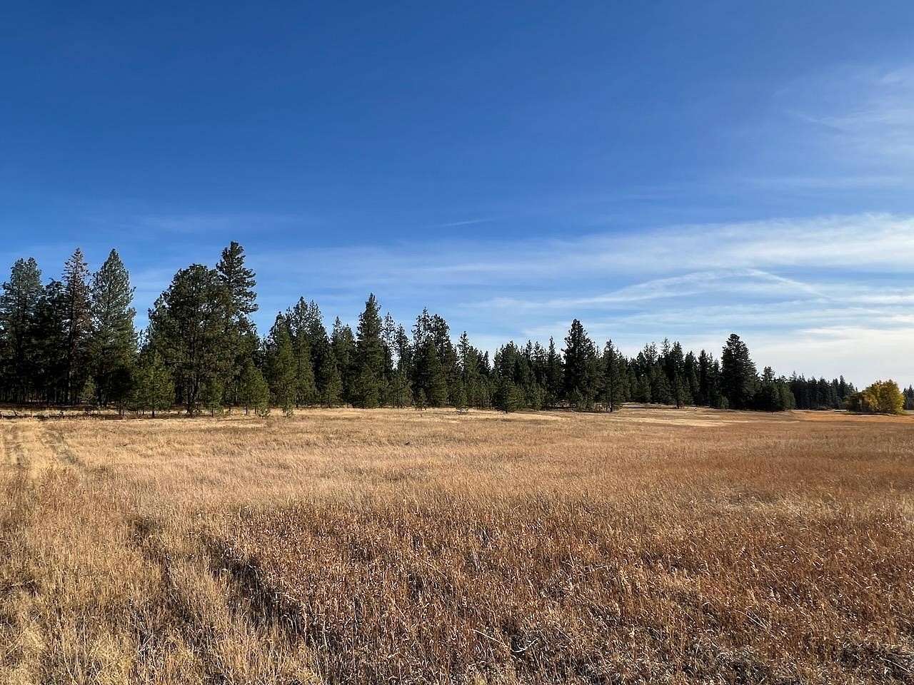 20.48 Acres of Recreational Land for Sale in Cheney, Washington