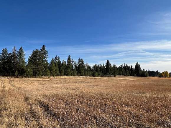 20.5 Acres of Recreational Land for Sale in Cheney, Washington