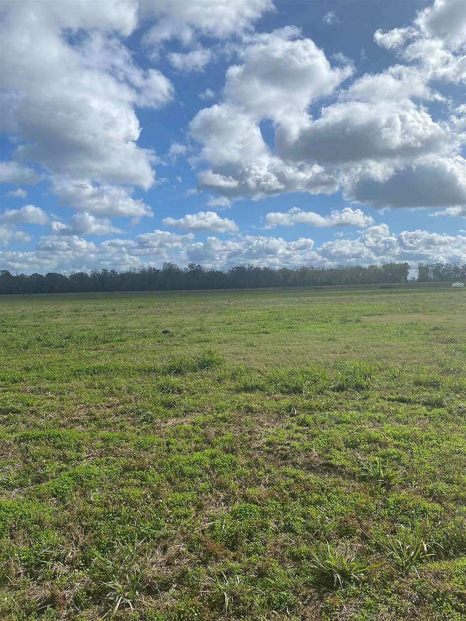 5 Acres of Land for Sale in Plattenville, Louisiana
