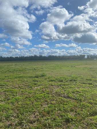 5 Acres of Land for Sale in Plattenville, Louisiana