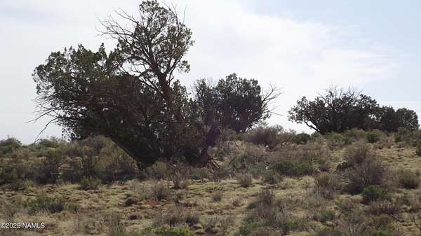 1 Acre of Land for Sale in Williams, Arizona