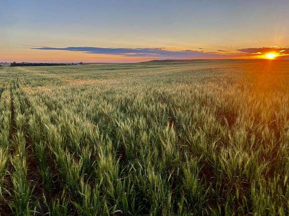 80 Acres of Agricultural Land for Sale in Haxtun, Colorado