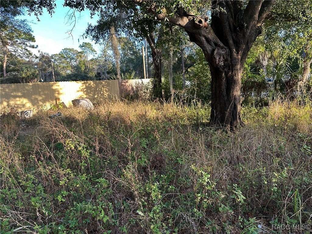 0.21 Acres of Residential Land for Sale in Homosassa, Florida