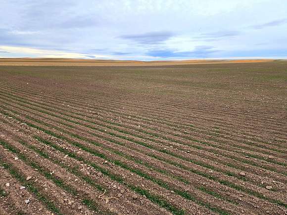 316 Acres of Recreational Land & Farm for Sale in Harrisburg, Nebraska