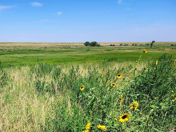 39.91 Acres of Agricultural Land for Sale in Strasburg, Colorado