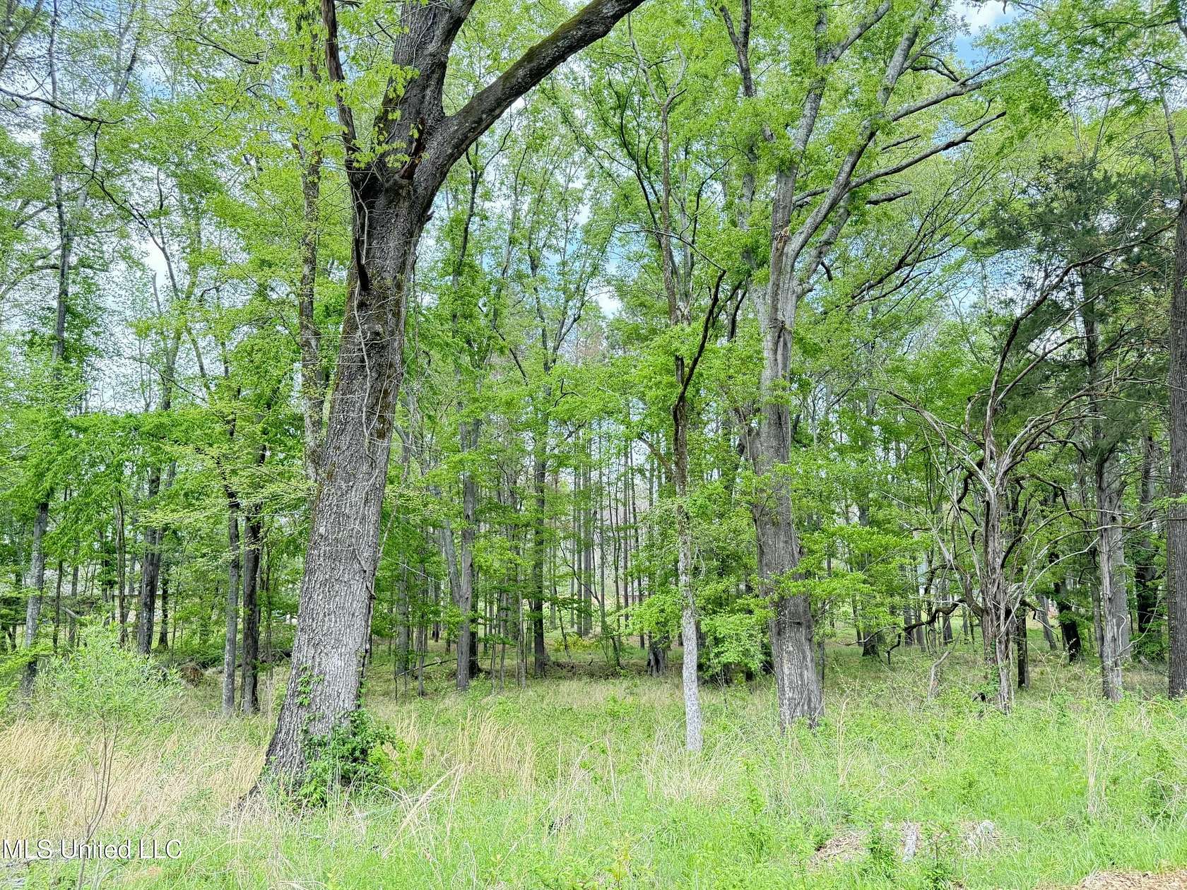 1.5 Acres of Residential Land for Sale in Clinton, Mississippi