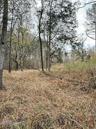 1.5 Acres of Residential Land for Sale in Clinton, Mississippi