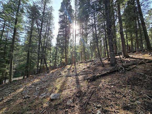 0.369 Acres of Residential Land for Sale in Cloudcroft, New Mexico