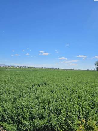 23.43 Acres of Agricultural Land for Sale in Mabton, Washington