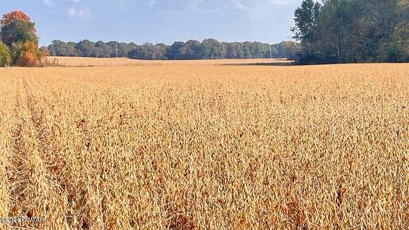 95.5 Acres of Agricultural Land for Sale in Milan, Tennessee