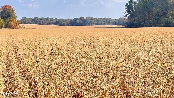 95.5 Acres of Agricultural Land for Sale in Milan, Tennessee