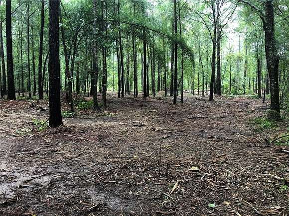 2.03 Acres of Land for Sale in Beauregard, Alabama