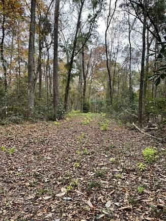 5.16 Acres of Residential Land for Sale in Tallahassee, Florida