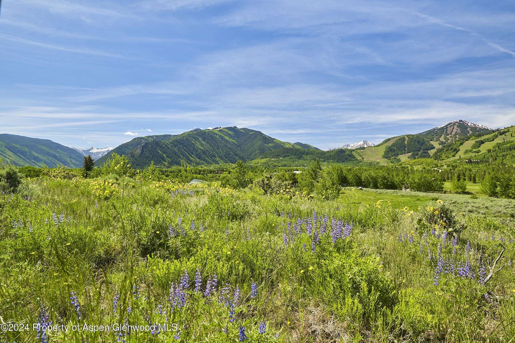 15.3 Acres of Land for Sale in Aspen, Colorado