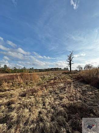 20 Acres of Agricultural Land for Sale in Linden, Texas