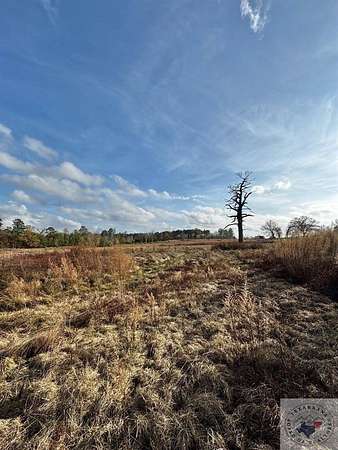 20 Acres of Land for Sale in Linden, Texas