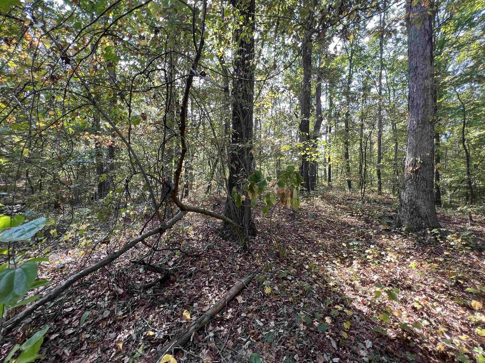 0.51 Acres of Residential Land for Sale in Savannah, Tennessee