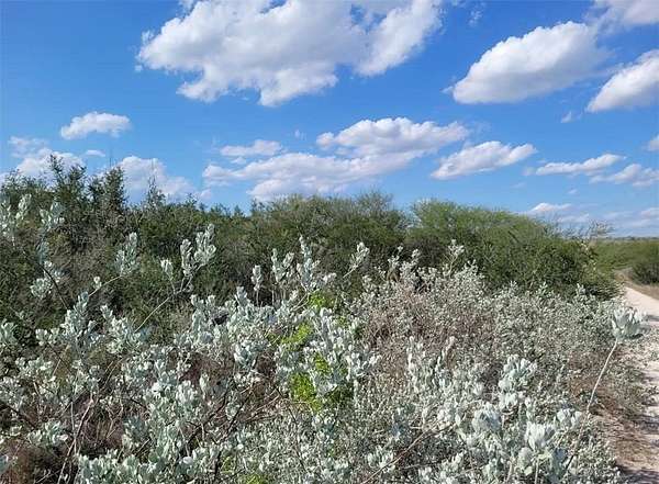 10.2 Acres of Land for Sale in George West, Texas
