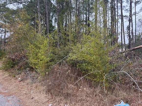 0.8 Acres of Land for Sale in Mount Pleasant, South Carolina