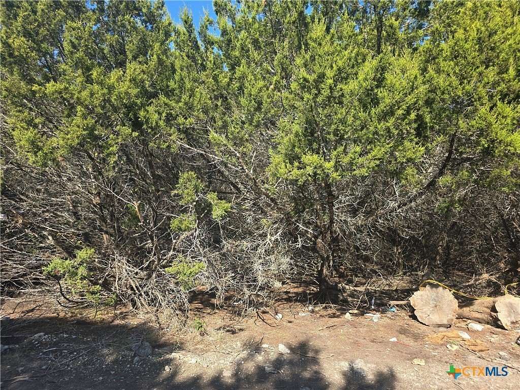 0.17 Acres of Land for Sale in Waco, Texas