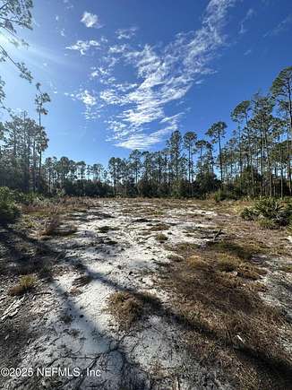 1.03 Acres of Residential Land for Sale in Georgetown, Florida