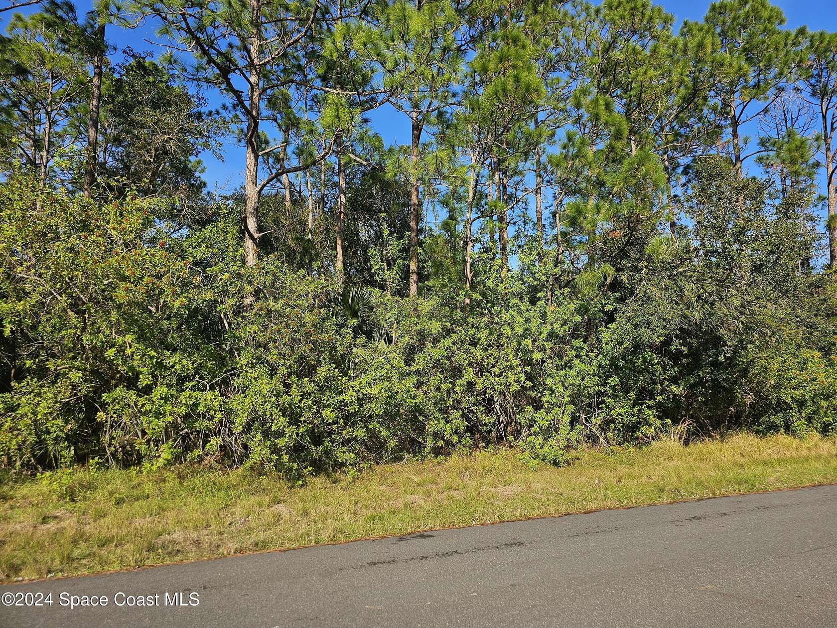 0.52 Acres of Land for Sale in Palm Bay, Florida