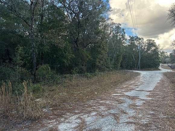 1.25 Acres of Residential Land for Sale in Bronson, Florida