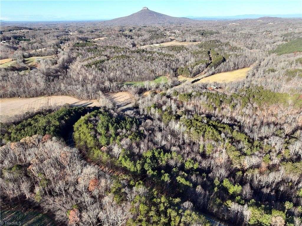 38.881 Acres of Agricultural Land for Sale in Pinnacle, North Carolina