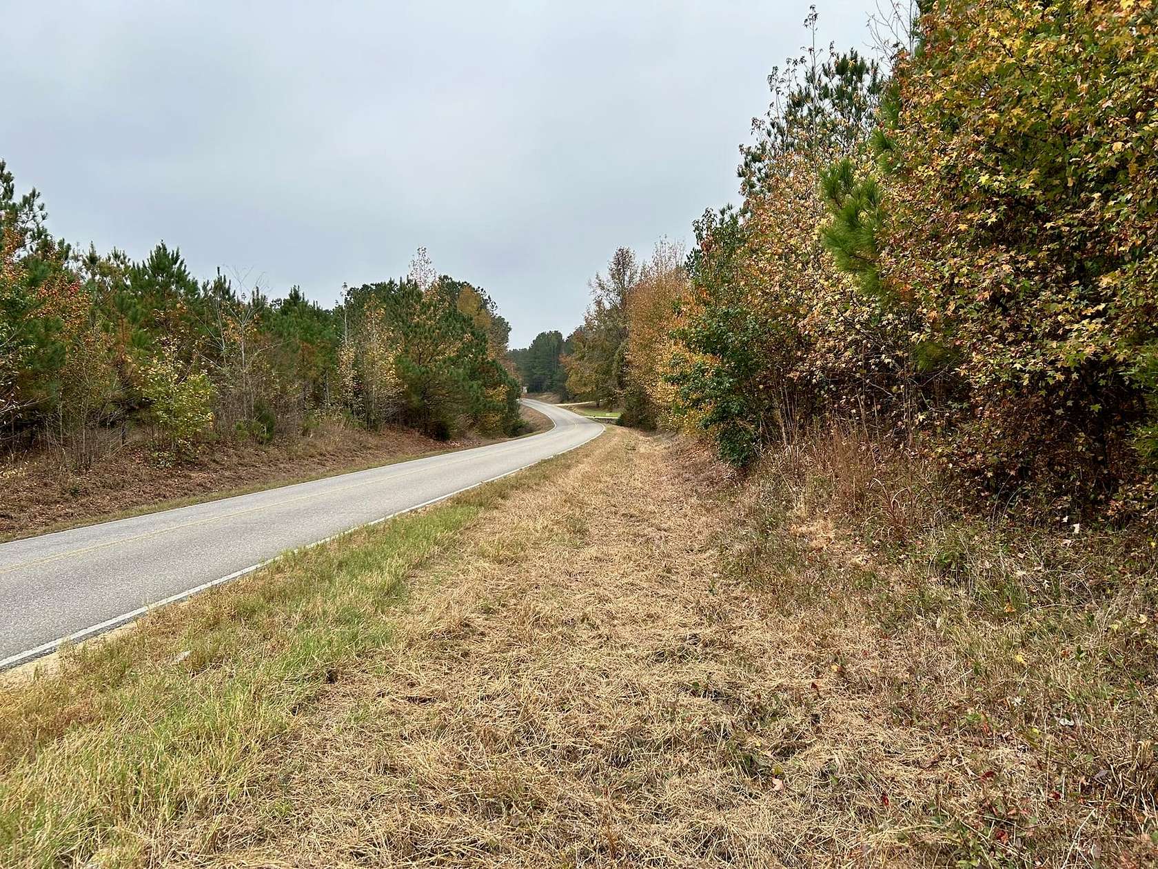 91 Acres of Recreational Land for Sale in Vernon, Alabama