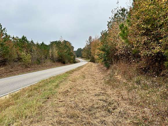 91 Acres of Recreational Land for Sale in Vernon, Alabama