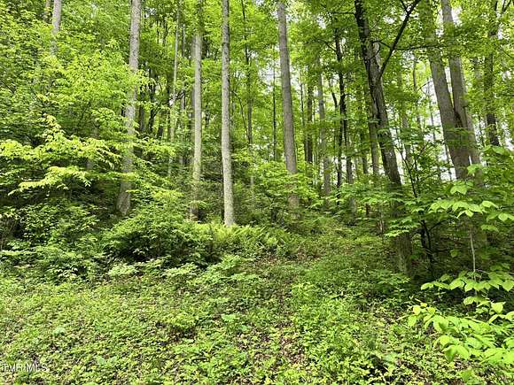 15 Acres of Land for Sale in Roan Mountain, Tennessee