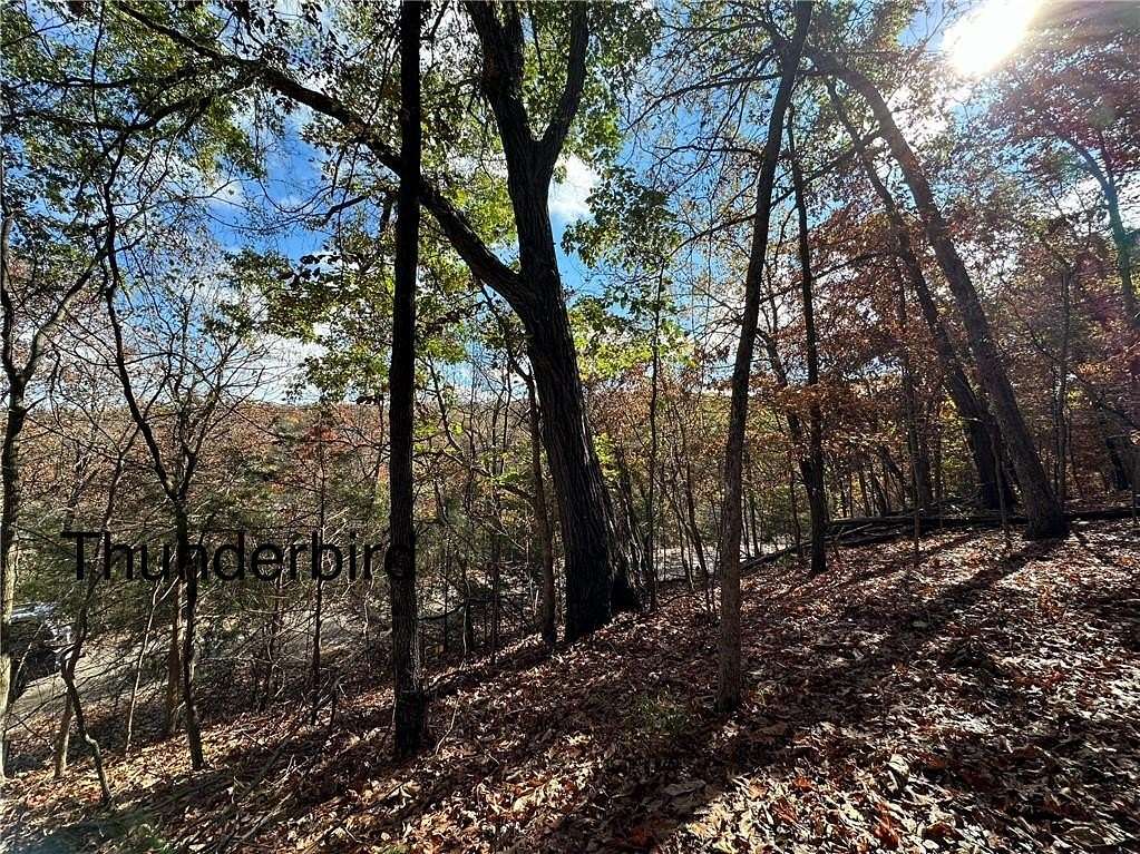 0.33 Acres of Residential Land for Sale in Holiday Island, Arkansas