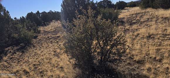 1.36 Acres of Residential Land for Sale in Show Low, Arizona