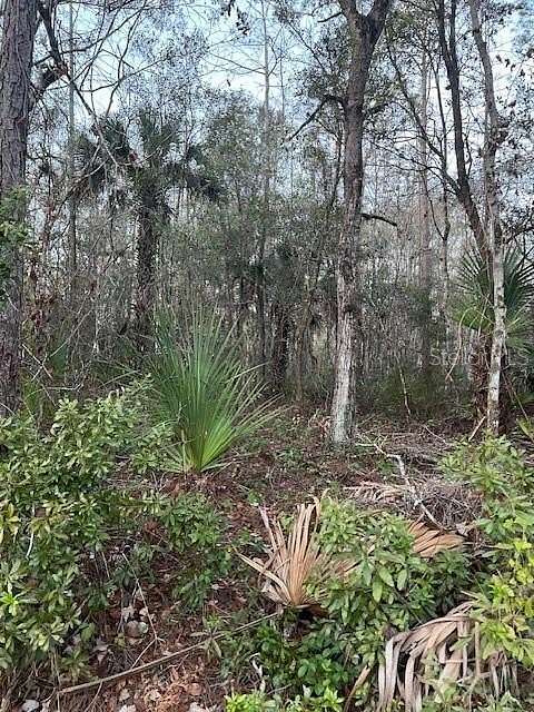 1.14 Acres of Land for Sale in Bunnell, Florida