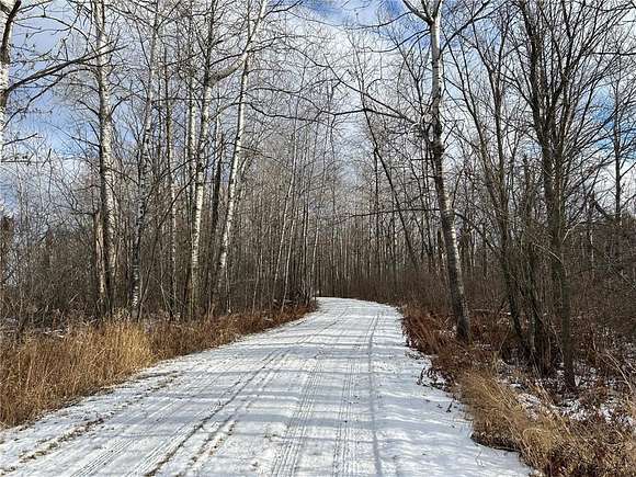 40 Acres of Recreational Land for Sale in Malmo Township, Minnesota