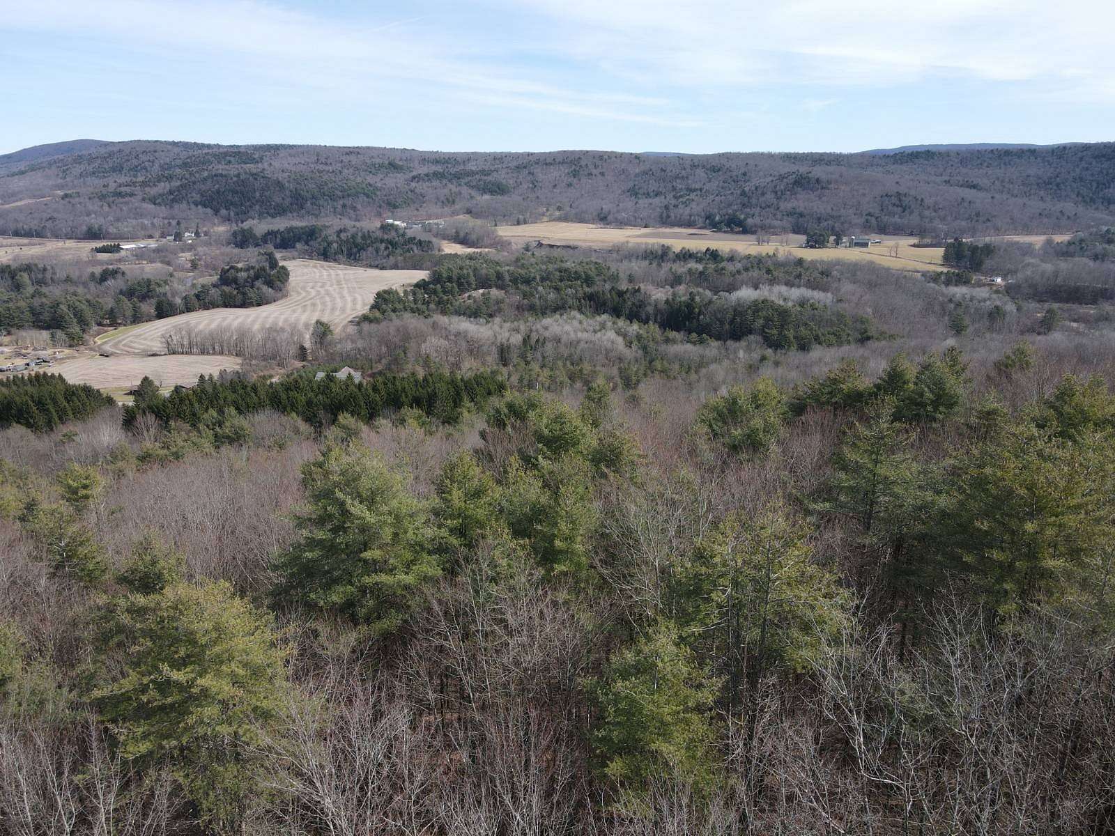 79.39 Acres of Recreational Land for Sale in Milford, New York