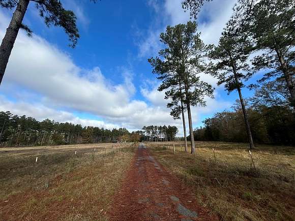 23.02 Acres of Recreational Land & Farm for Sale in Climax, Georgia