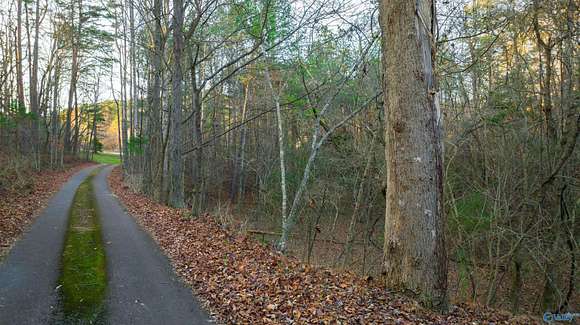 12.2 Acres of Recreational Land for Sale in Fort Payne, Alabama