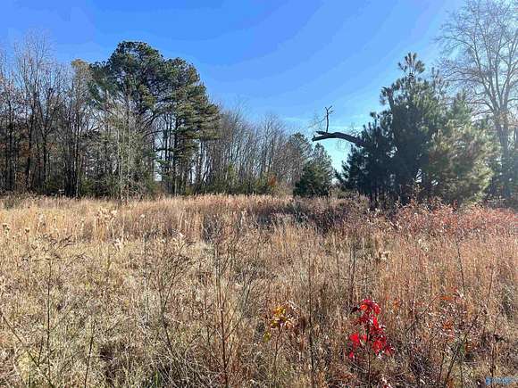 3 Acres of Residential Land for Sale in Centre, Alabama